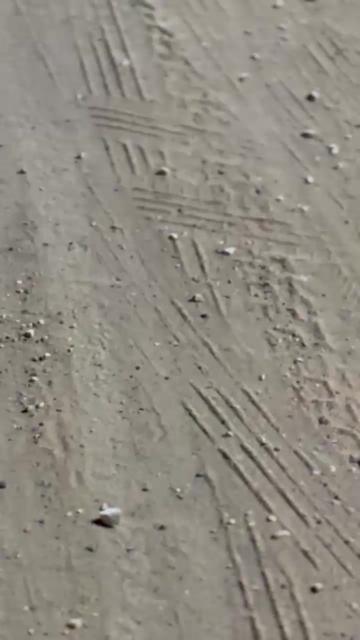 @مـالـك 🚸🐺