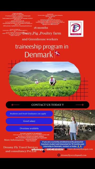 @Dreamy Fly visa services USA