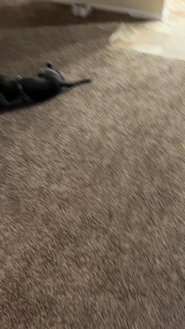 @TheLifeOfChop