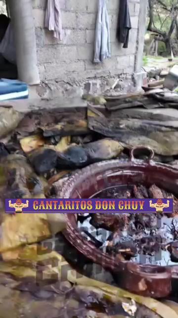 @Gerardo Campa