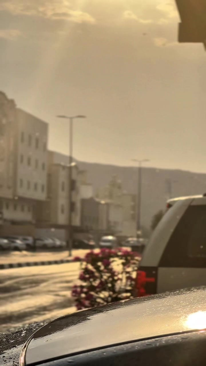 @SAFYA/12