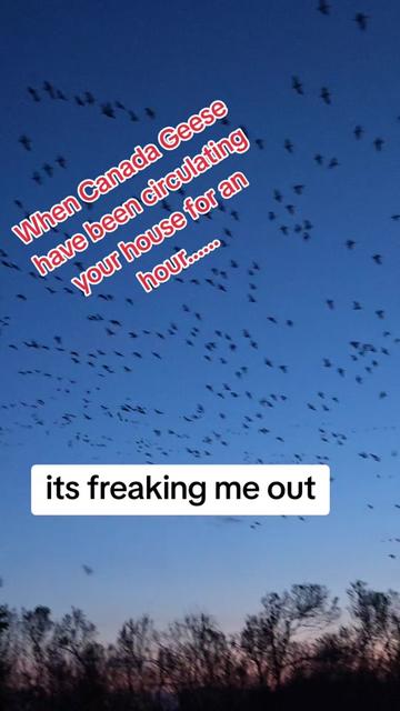 @smrczekmom