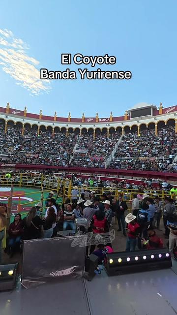 @Luisin Lpz-Trumpet