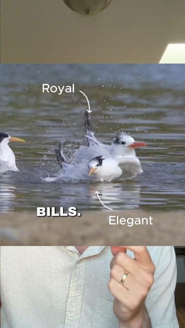 @Nature is Surreal