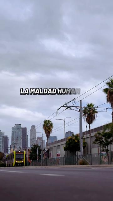 @"El Pepe gomas"