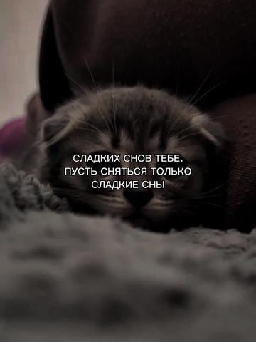 @ХХИКА