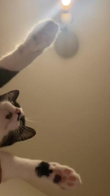 @cosanostrapurr