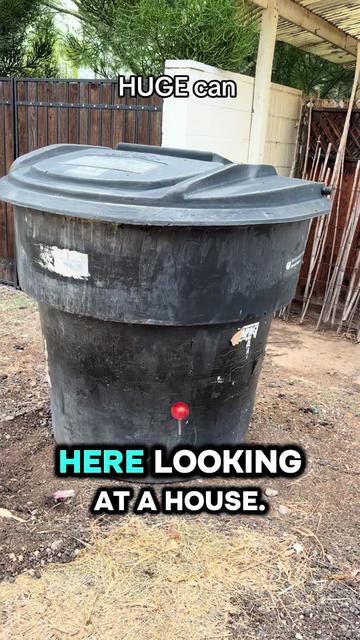 @LoriBodamer