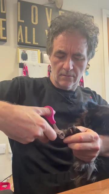 @profnoelfitzpatrick
