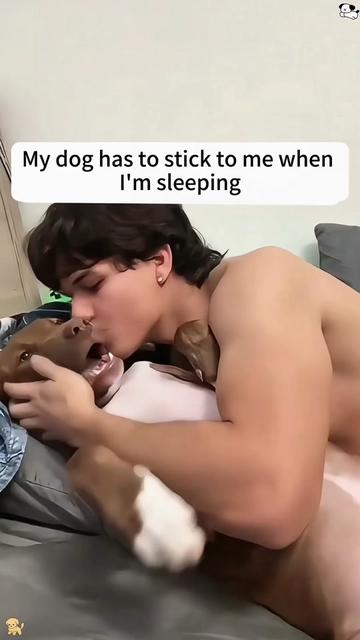 @funnyanimalvideo99