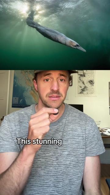 @Nature is Surreal