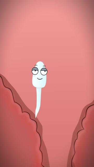 @Funny Animations