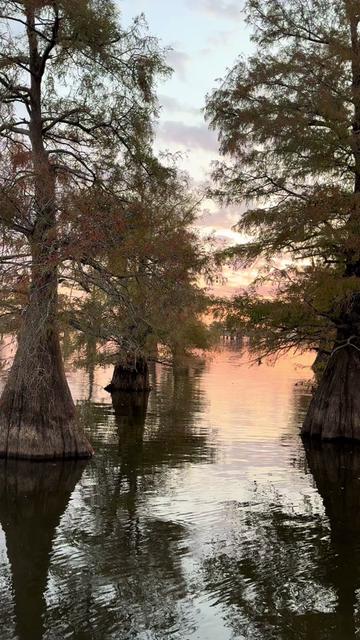 @Caddo Lake FirstCastCabin