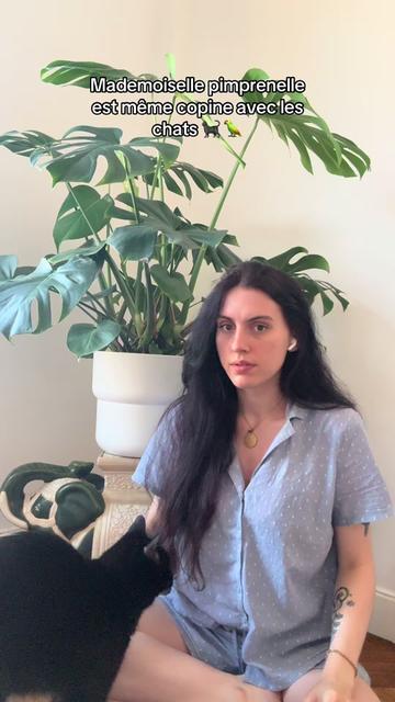 @Sarah AL