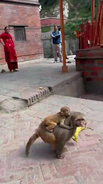 @सरोज देबकोटा