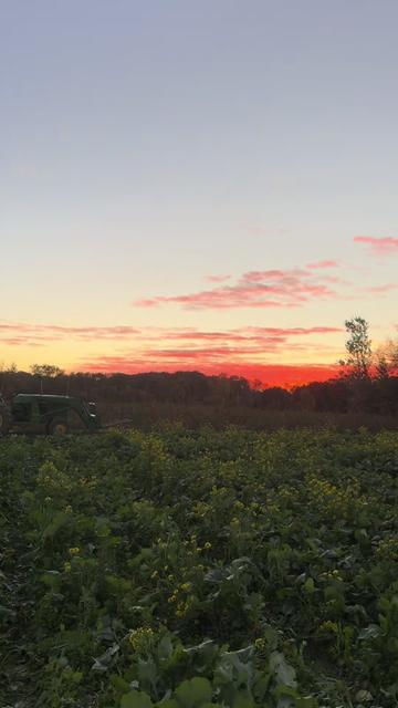 @GillFarm_Caledon