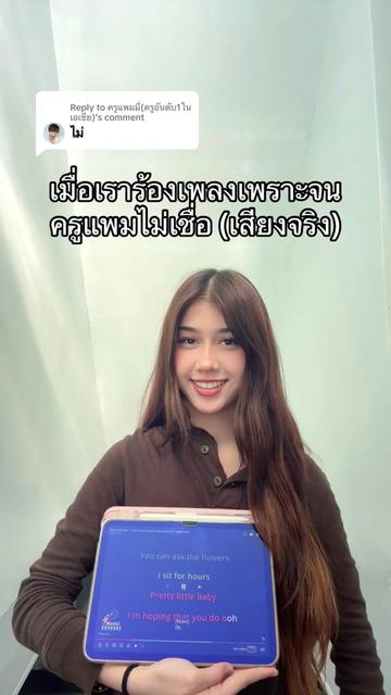 @เมเปิ้ลที่ไม่ใช่ต้นไม้