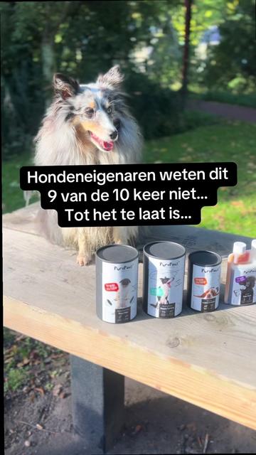 @Pure Paws