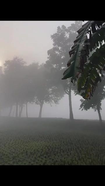 @𝗹𝗶𝗳𝗲𝘁𝗶𝗺𝗲 𝗺𝘂𝘀𝗶𝗰🎶