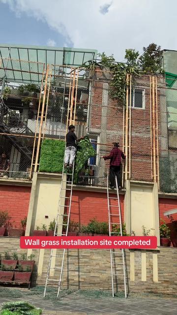 @wallpaper Dhankuta Home Deco