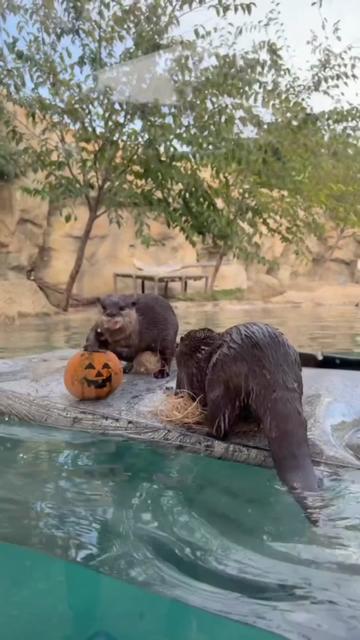 @Cincinnati Zoo