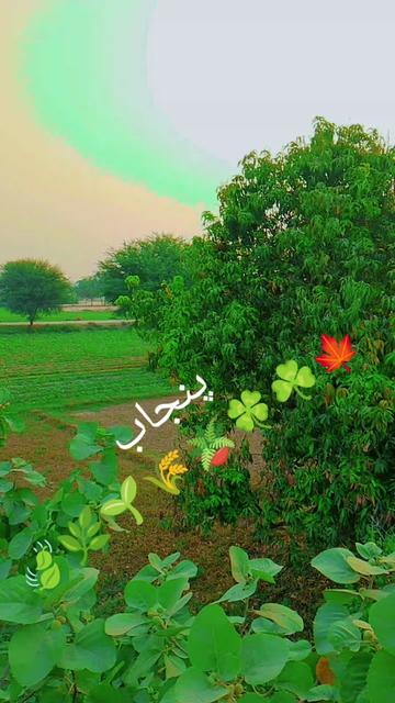 @bhai jaan