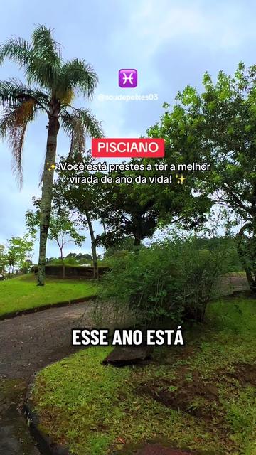 @soudepeixes