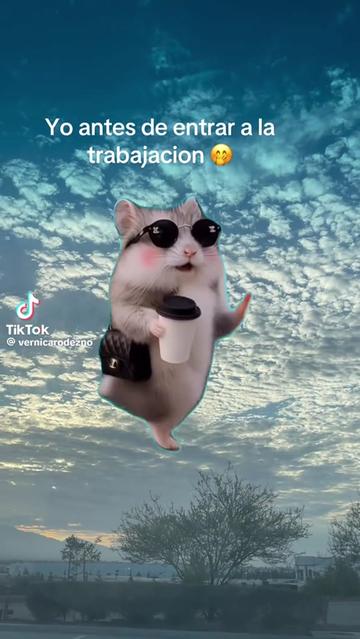 @johannagonzalez595