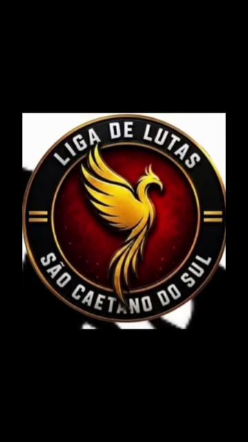 @SERGIO SILVA JR