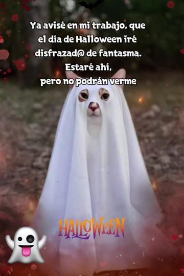 @💛🤎BonitaGirasol91