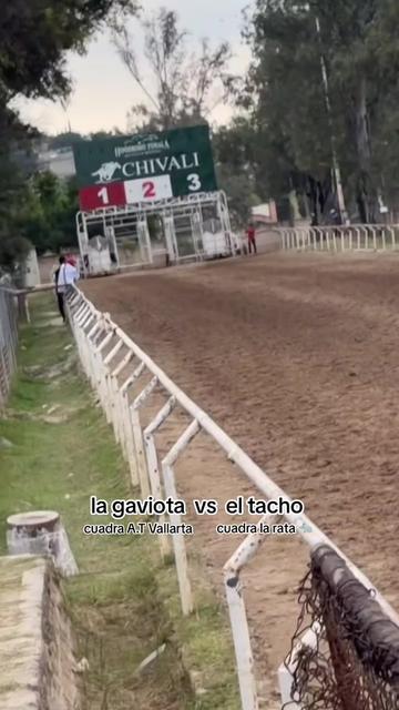 @carriles altos de jalisco🐎