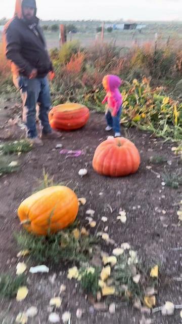 @S&Kfarm