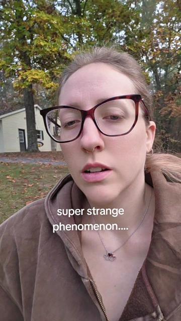 @ThatVeganBuzz