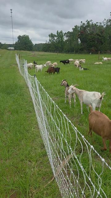 @DelaterrePermacultureFarm