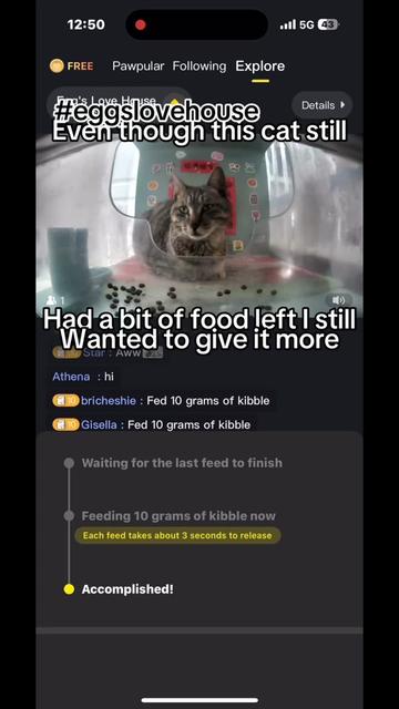 @purrrr