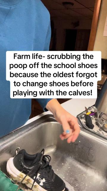 @littlesandycreekfarm