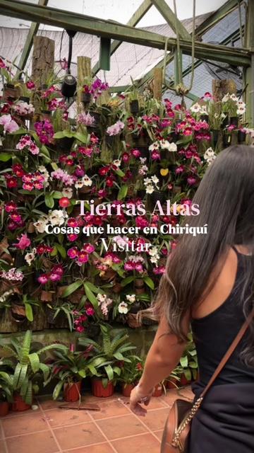 @Aly🐱