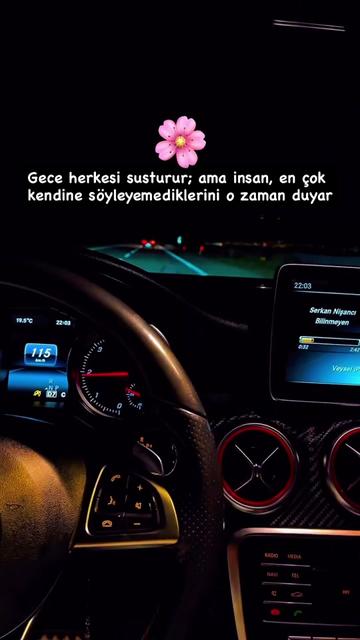 @Seyfi Curt