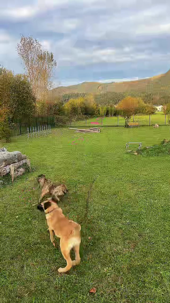 @Mountain Hill Ranch 🇦🇹
