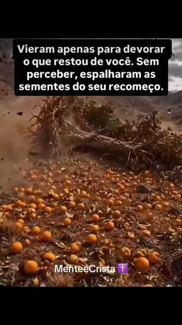 @MenteeCristã✝️