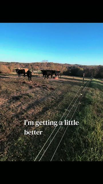 @Sami • LDH Farmstead