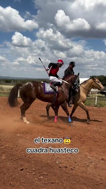 @carriles altos de jalisco🐎