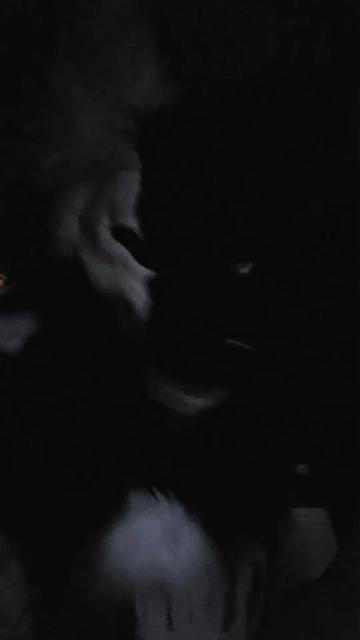 @-*Haunted*-