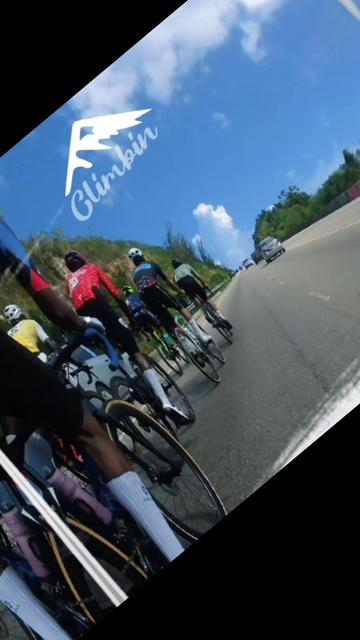 @pedalpulse