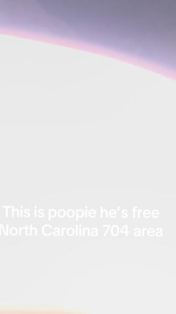 @PopRich336