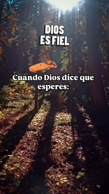 @🫂🐾♉️Masiel🫶 ⩜⃝🌈🦩