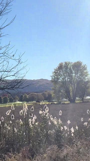 @Ashley