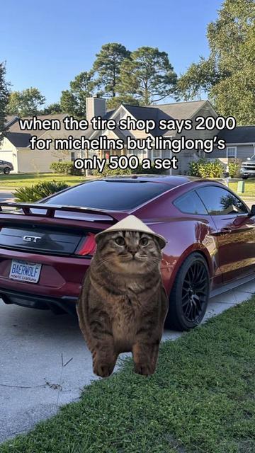 @nickbaerwolf