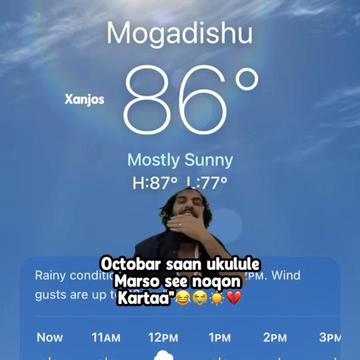 @xanjos_🇸🇴