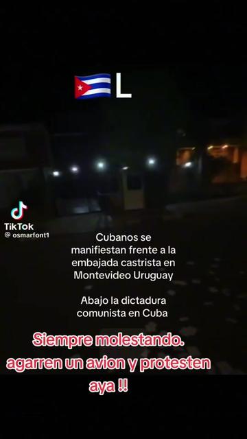 @Miguel.A.Astraldi